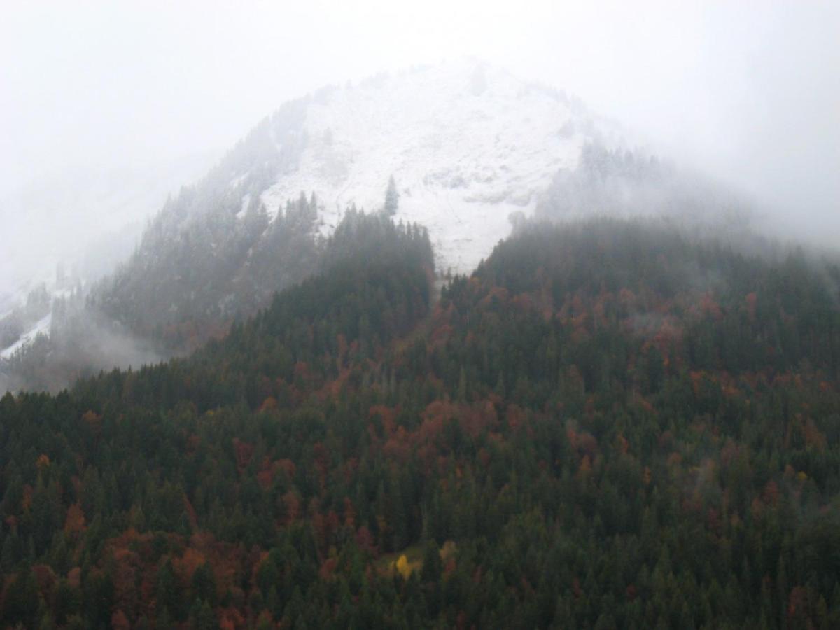 Appartement Au Pied Des Pistes, Avec Vue Sur La Montagne Bernex Zewnętrze zdjęcie