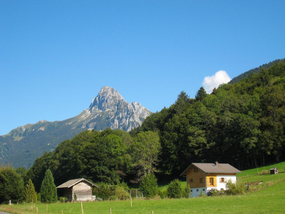 Appartement Au Pied Des Pistes, Avec Vue Sur La Montagne Bernex Zewnętrze zdjęcie